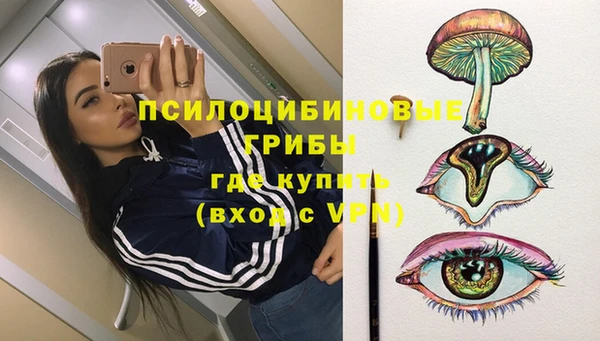 прущие крисы Белокуриха