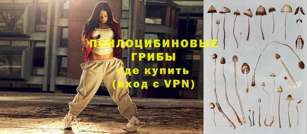 прущие крисы Белокуриха